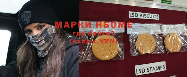 индика Нязепетровск