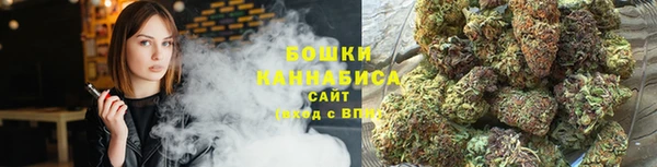 индика Нязепетровск