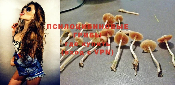 синтетический гашиш Няндома