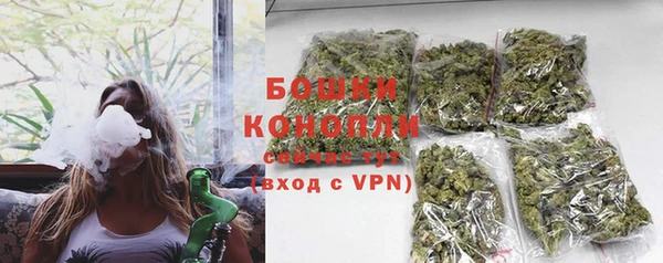 твердый Новозыбков