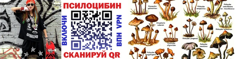 mega   Усть-Катав  Галлюциногенные грибы Cubensis 